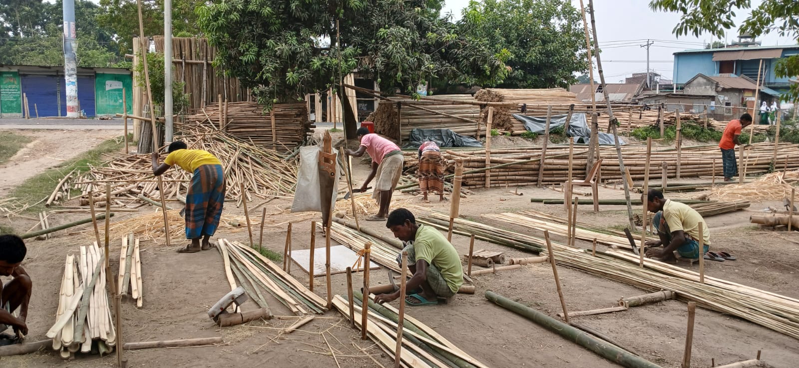 যুগ যুগ ধরে বাঁশের নানান ধরনের ব্যবহার হচ্ছে