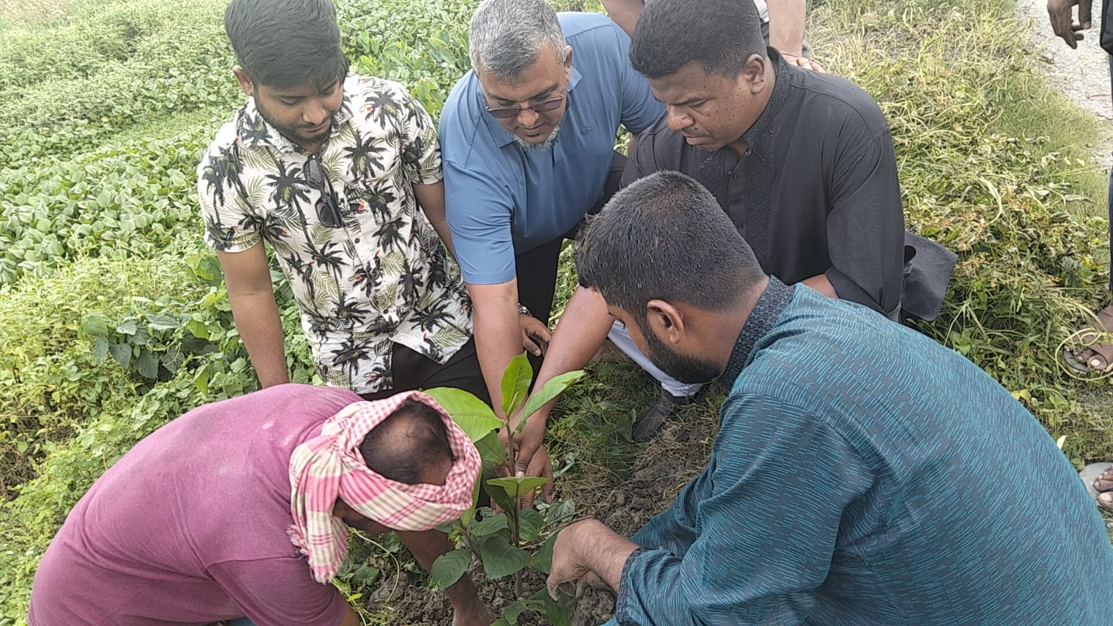 বিশ্ব পরিবেশ দিবস উপলক্ষে দাউদকান্দিতে তিন শতাধিক বৃক্ষ রোপণ