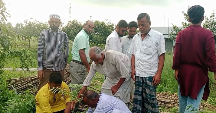 কালিহাতীতে কেন্দ্রীয় সাধু সংঘে সবুজায়ন সমাজ কল্যাণ সংস্থার বৃক্ষরোপণ করলেন।