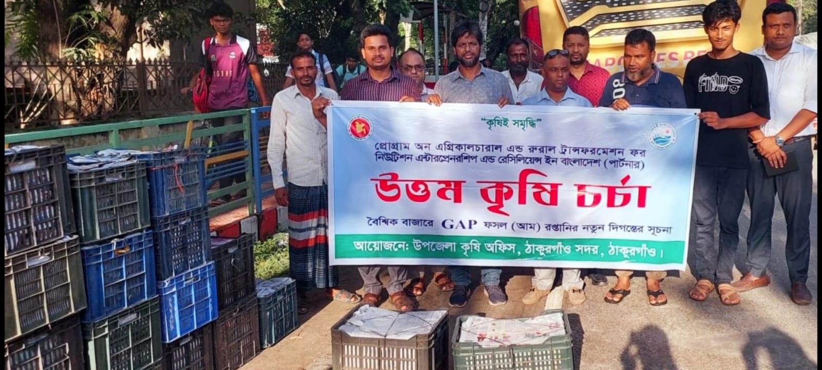 ঠাকুরগাঁওয়ের আম্রপালি আম যাচ্ছে যুক্তরাজ্যসহ ইউরোপে