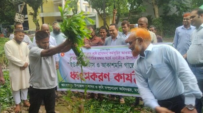 মধুপুরে বৃক্ষমেলা উদ্বোধনের মধ্য দিয়ে ২দিনে  ৮০হাজার অবৈধ গাছ ধংস 