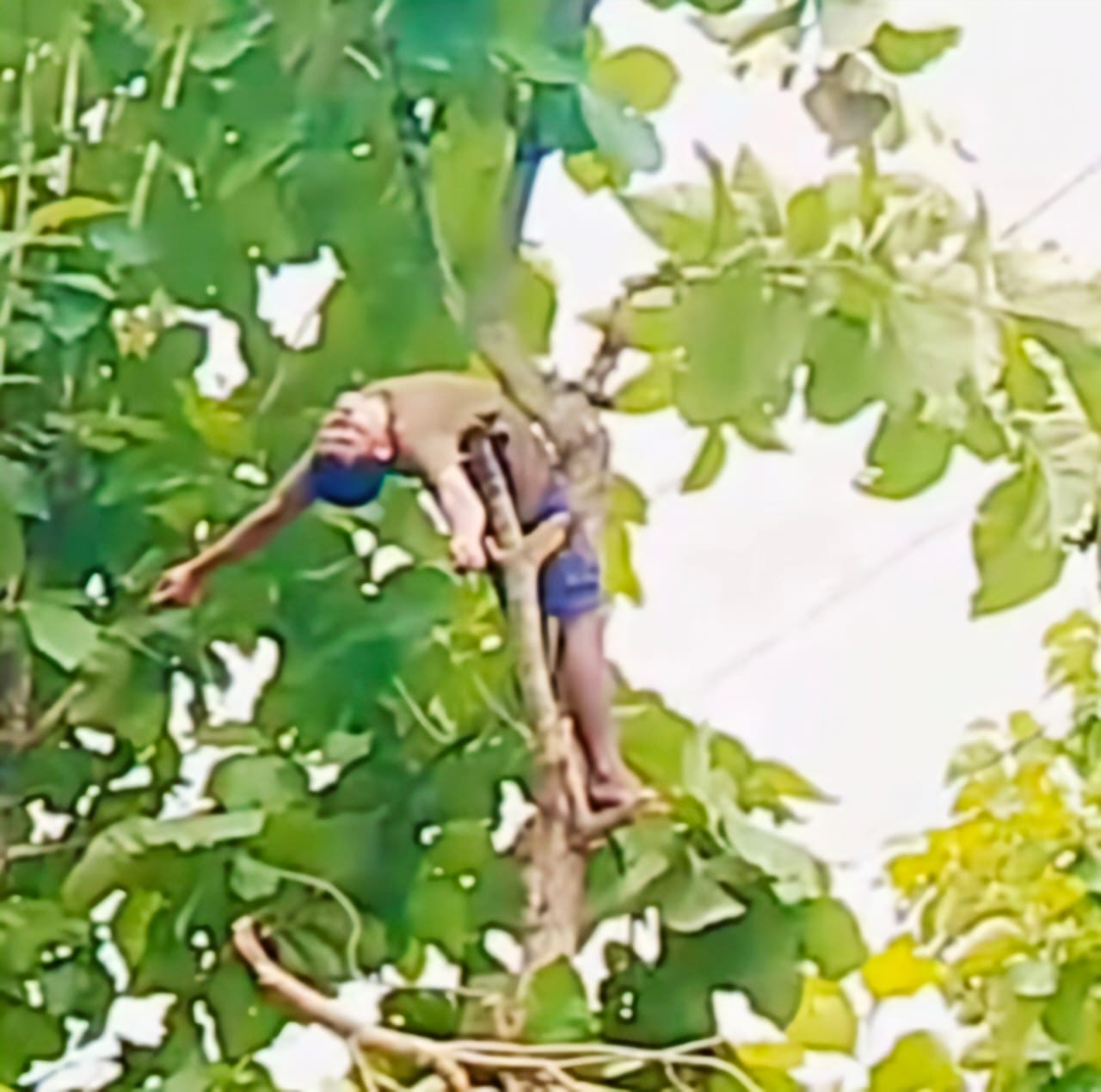 দীঘিনালায় গাছের ডাল কাটতে গিয়ে বিদ্যুৎস্পৃষ্ট হয়ে যুবকের মর্মান্তিক মৃত্যু