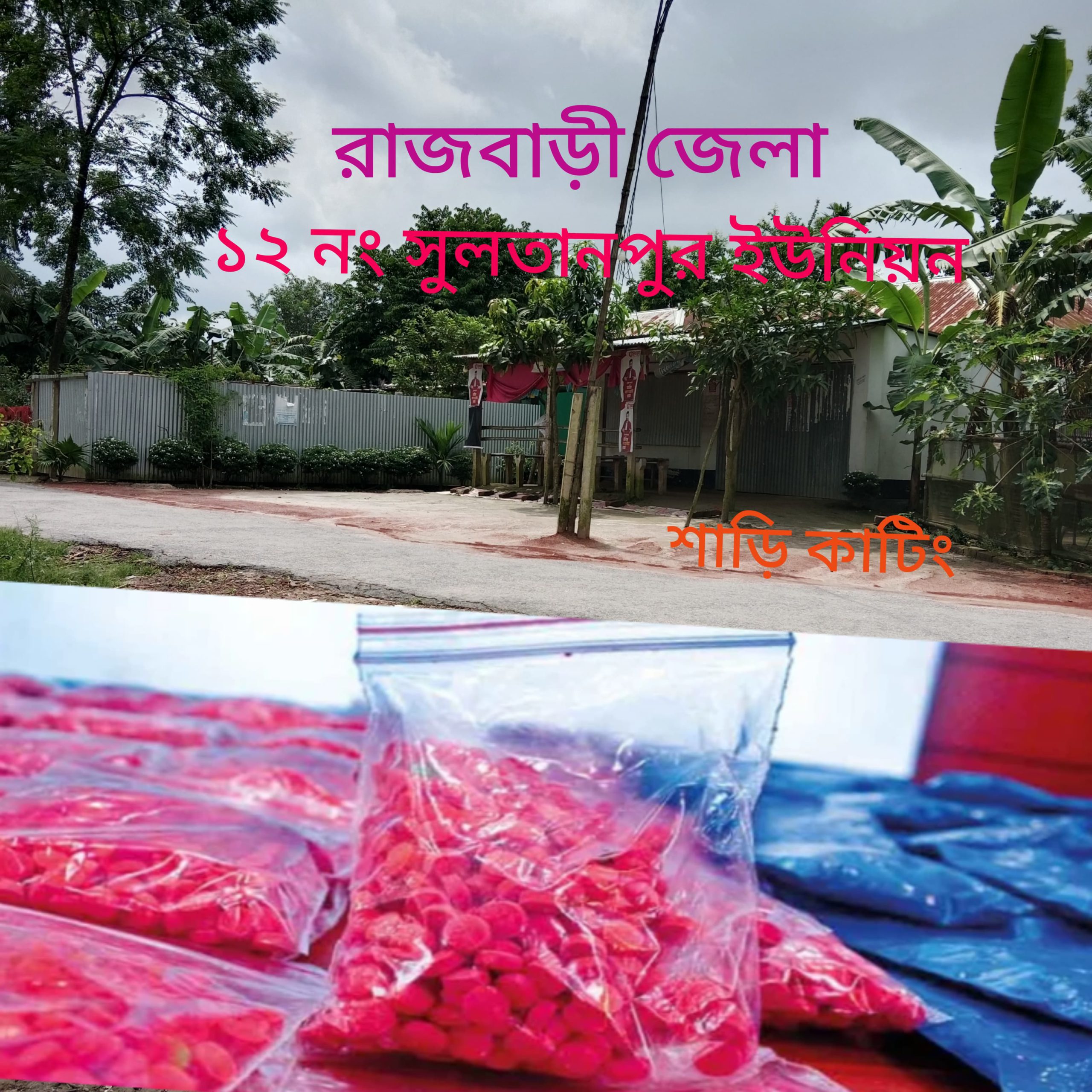 রাজবাড়ী জেলা, ১২ নং সুলতান পুর ইউনিয়ন শাল কাটিং  প্রকাশে মাদক বিক্রির কারবার
