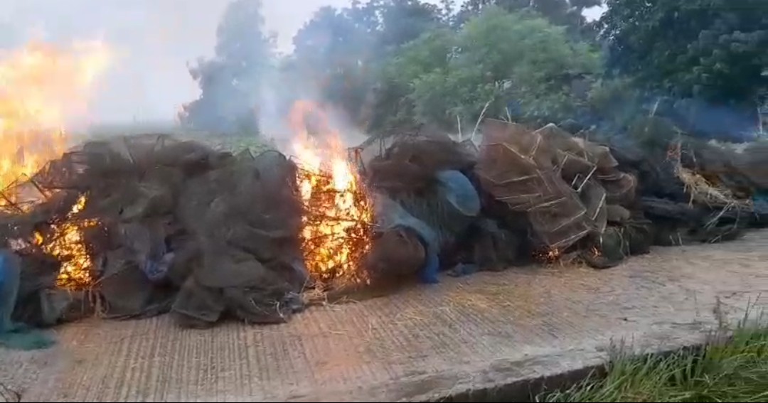 সিংড়ায় সেনাবাহিনীর অভিযানে ৫ লাখ টাকার চায়না দুয়ারি জাল উদ্ধার ও ধ্বংস।