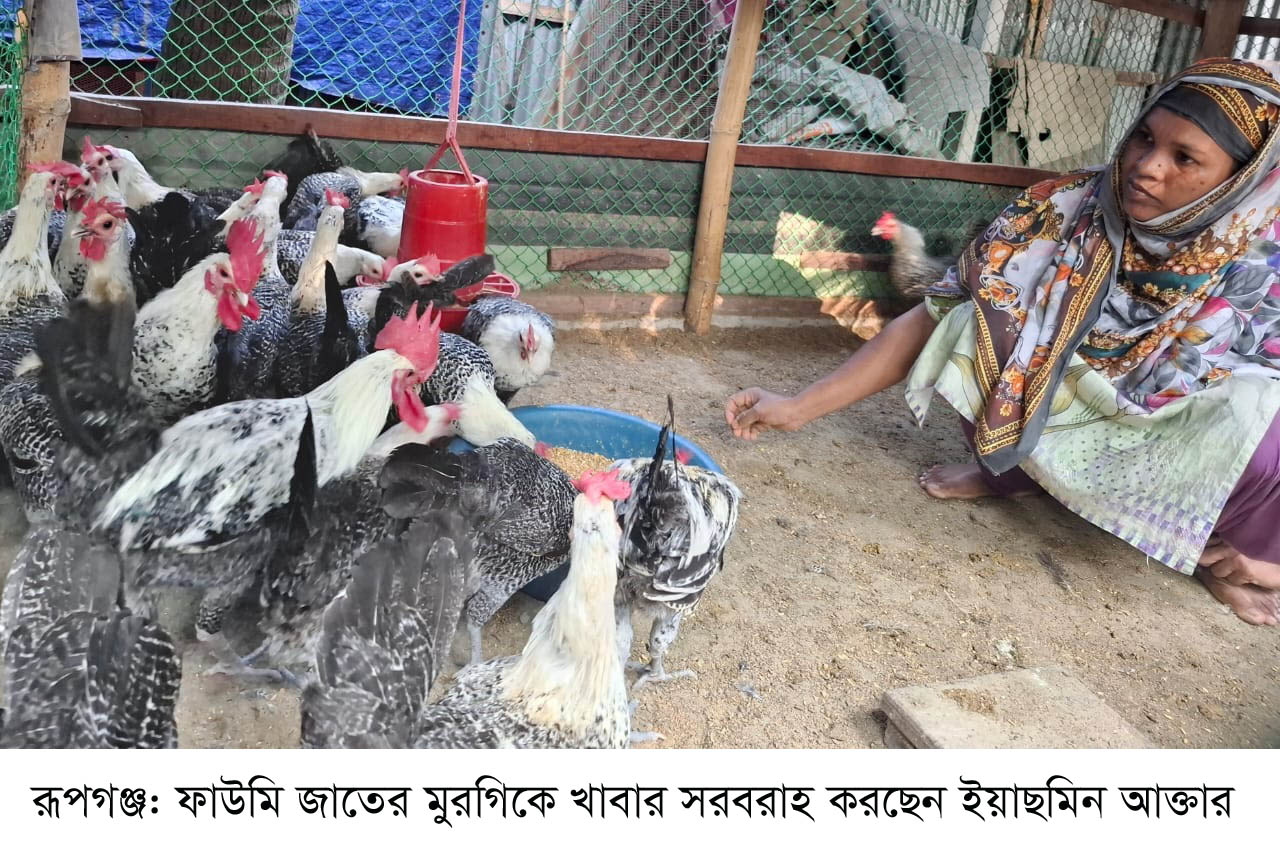 ব্যতিক্রমধর্মী উদ্যোগ রূপগঞ্জে ওয়ান থাউজেন্ড প্রকল্পের আওতায় নারীরা স্বাবলম্বী