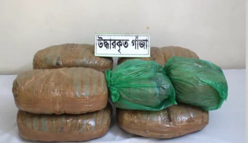রাজশাহীতে বিপুলপরিমান গাঁজা উদ্ধার