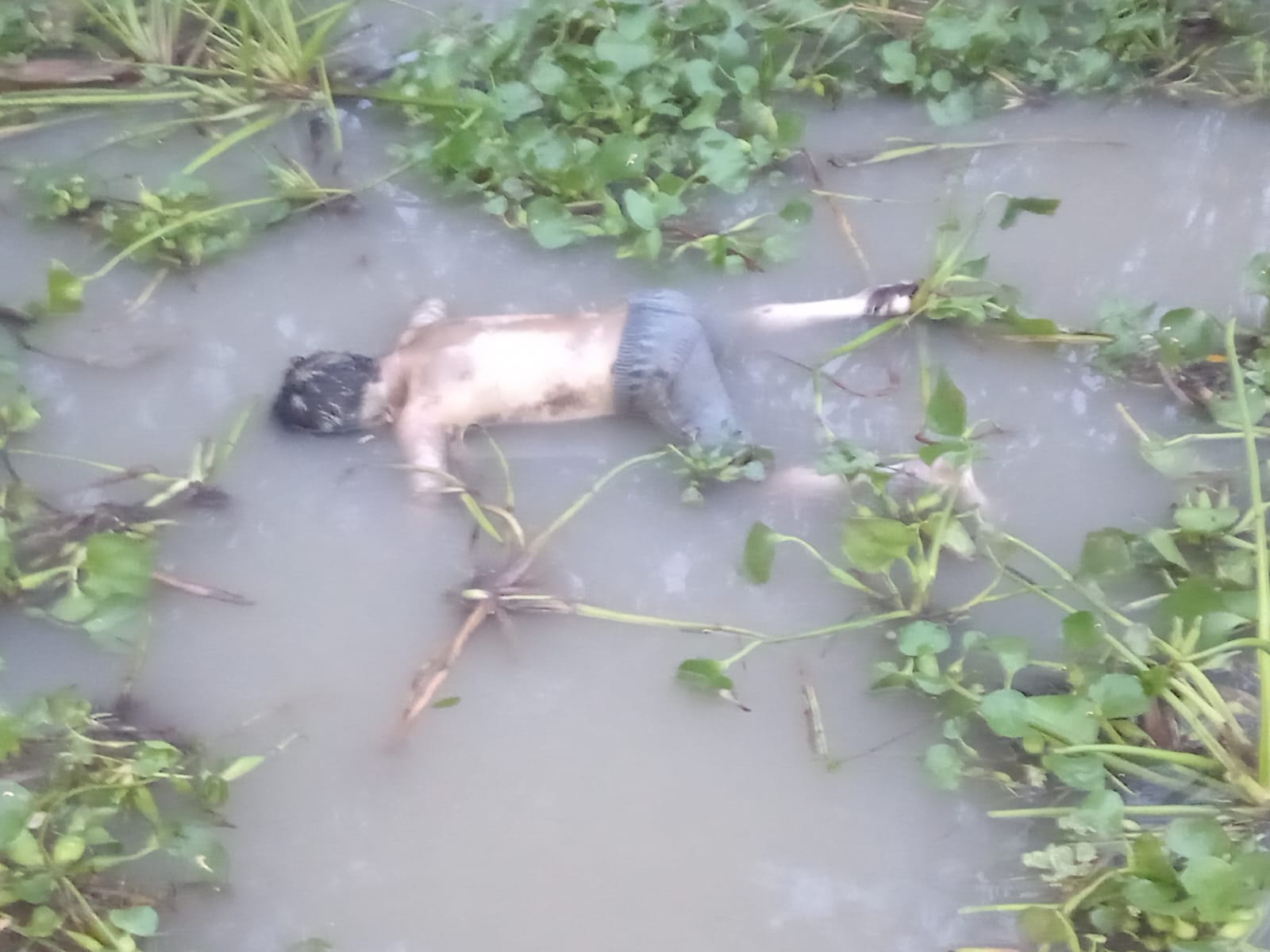 দুমকী উপজেলার মুরাদীয়ায়, লোহালিয়া নদীতে অজ্ঞাত ব্যক্তির অর্ধগলিত লাশ উদ্ধার