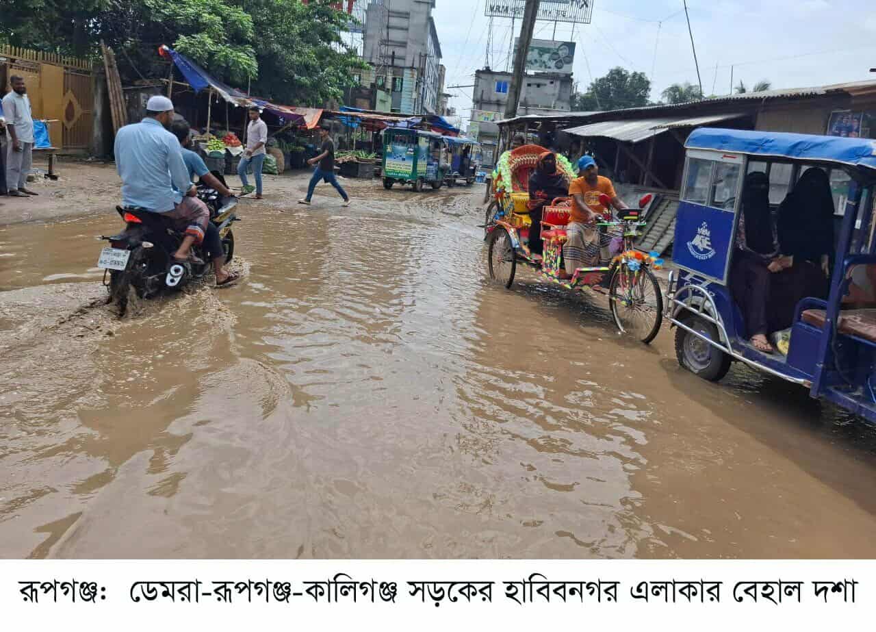 ডেমরা-রূপগঞ্জ-কালিগঞ্জ সড়ক নির্মাণে ধীরগতি \ দুর্ভোগ