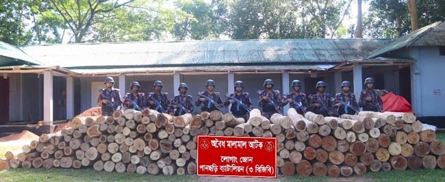 পানছড়িতে বিজিবির অভিযানে বিপুল পরিমাণ অবৈধ গোলকাঠ জব্দ