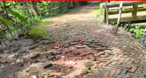 দুমকি উপজেলায়, এলজিইডির বেহাল সড়কটি : পাকাকরণের দাবি