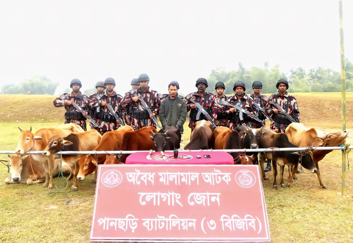 ৩ বিজিবির অভিযানে পানছড়ি সীমান্ত থেকে ১১টি ভারতীয় গরু উদ্ধার