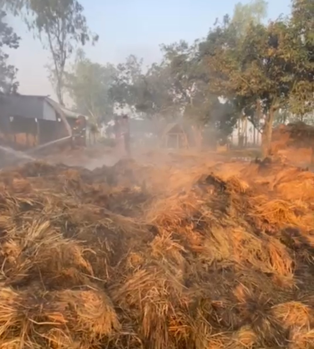 দিনাজপুরের বীরগঞ্জে হিন্দু কৃষকের ১২একর ধানের পালায় অগ্নিসংযোগ: নিঃস্ব দুই পরিবার।