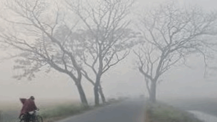 তেঁতুলিয়ায় জেঁকে বসেছে শীত, টানা নিম্ন তাপমাত্রায় জনদুর্ভোগ চরমে