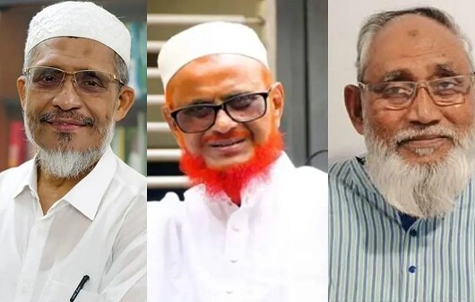 ফাঁসির মঞ্চ থেকে সংসদে: ভোটে জয়ী বাবর, পিন্টু ও আজহার