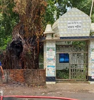 অলৌকিক ভাবে জীবন্ত গাছে জ্বলছে আগুন,