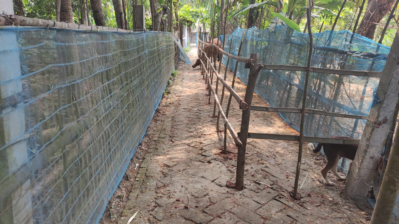 রামপালে জনদুর্ভোগের অবসান: প্রতিমন্ত্রীর নির্দেশে দখলমুক্ত হলো সরকারি সড়ক