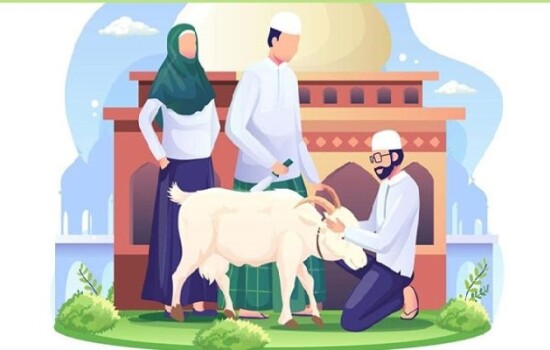 ত্যাগের মহিমায় উদযাপিত পবিত্র ঈদুল আজহা, কোরবানিতে ব্যস্ত সারাদেশ
