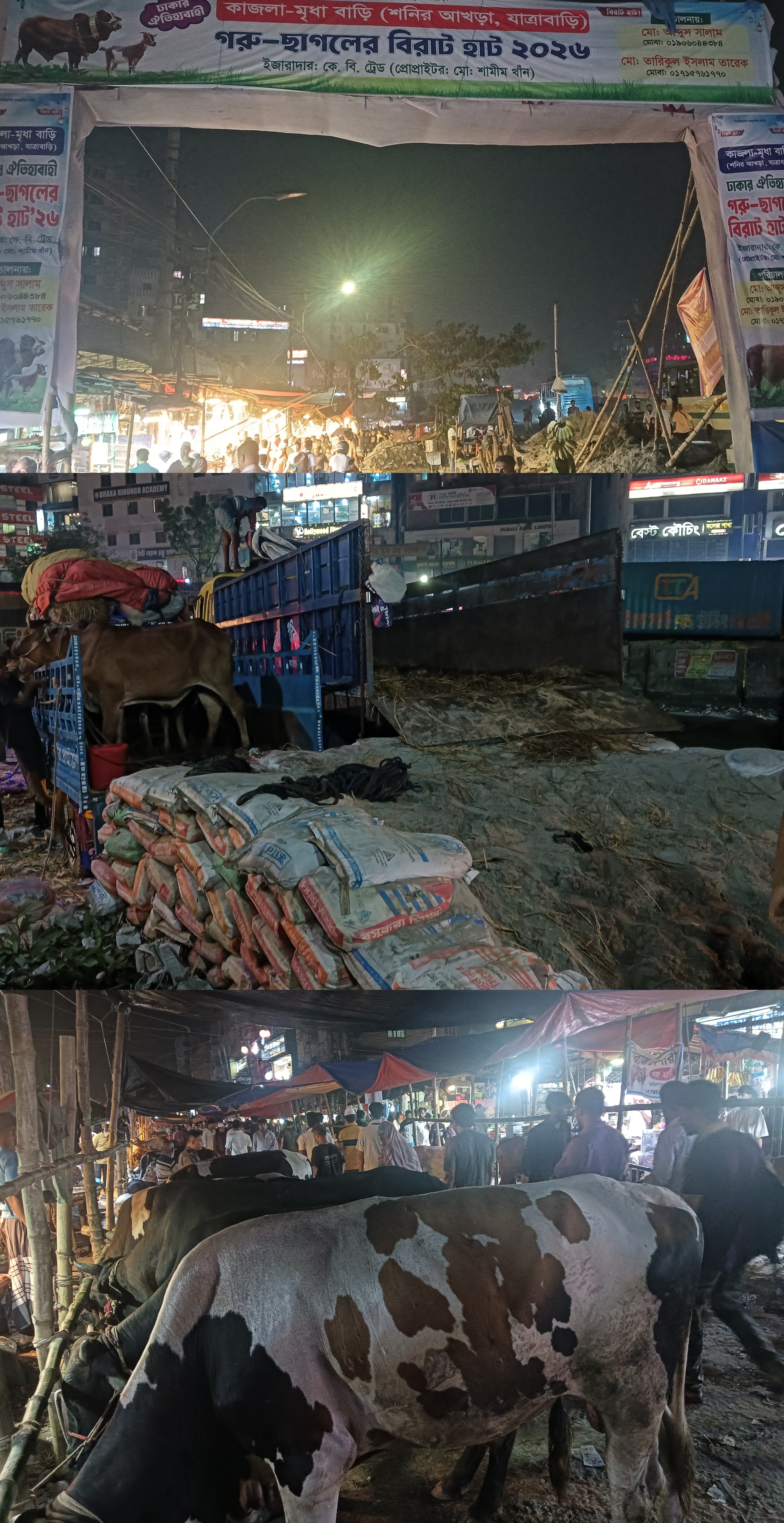 শনির আখড়ায় কোরবানির হাটে জনদুর্ভোগ চরমে: নীরব প্রশাসন, ক্ষুব্ধ এলাকাবাসী